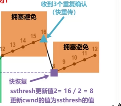 image-20260510113754841